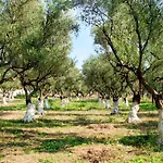 Elegant In Agios Ilias With Sea View Apartment *