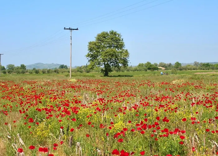 Elegant In Agios Ilias With Sea View Apartmán Myrtéa