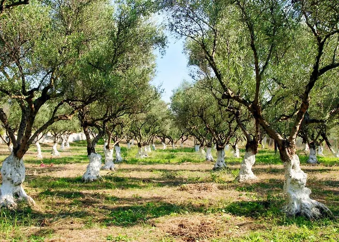 Elegant In Agios Ilias With Sea View Apartmán *